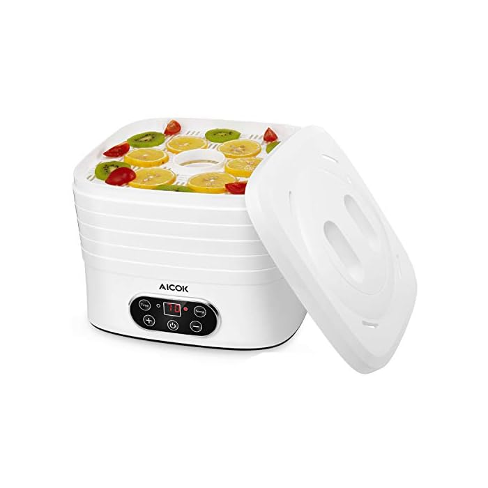 Fruit dehydrator