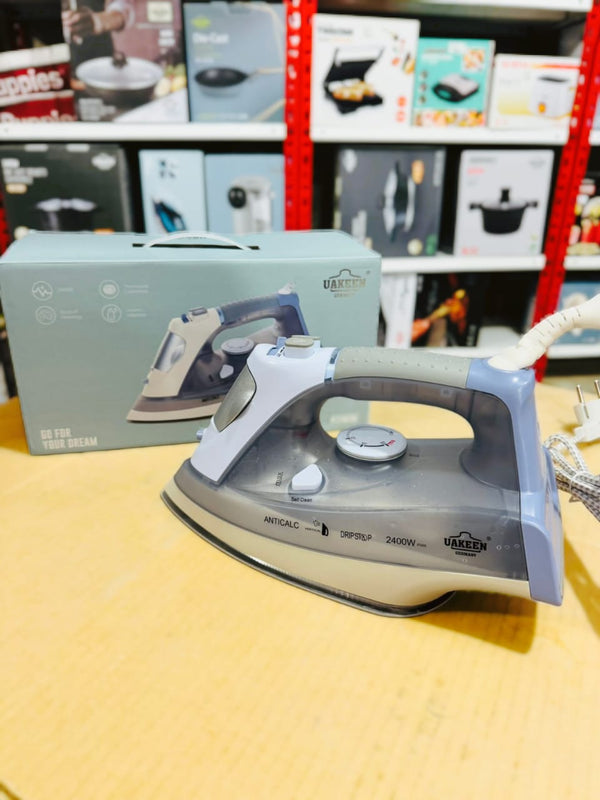 Uakeen Germany Steam Iron ZL-817