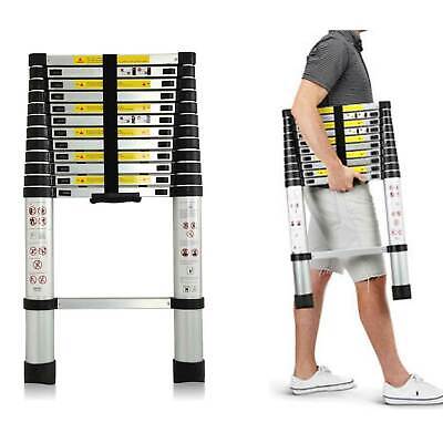 lightweight foldable ladder